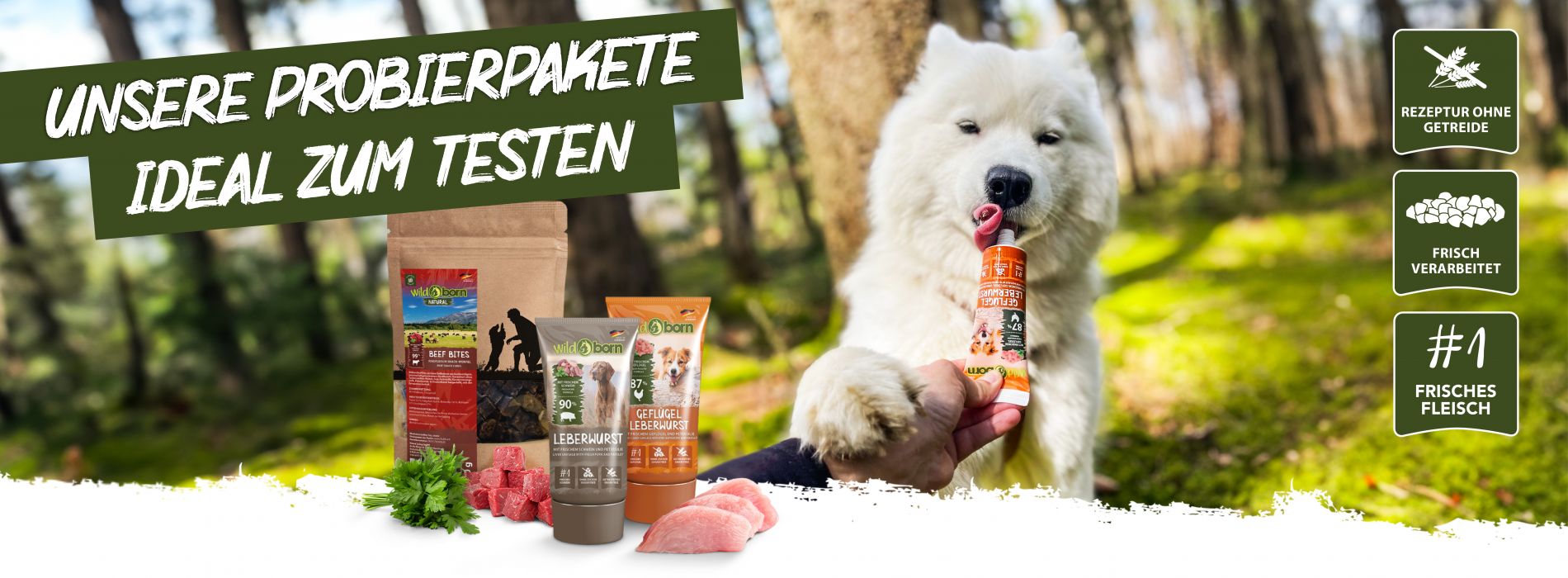 Getreidefreies Hundefutter Mit Bis Zu 75% Fleisch | Wildborn.com